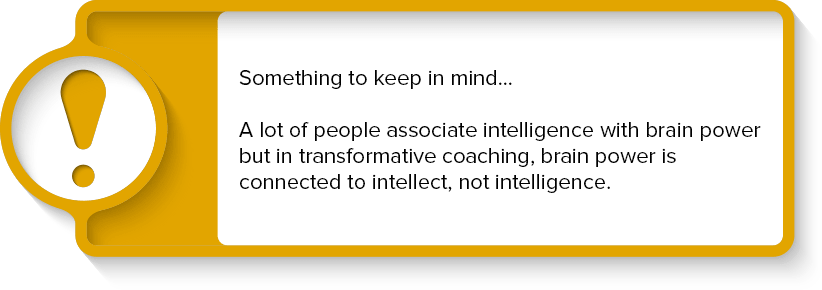 InfoSection-min-min transformative coaching