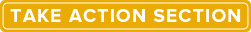 chapter1TakeAction-min-min take action section