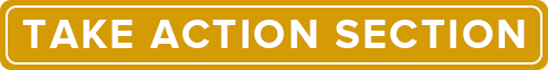 chapter2TakeAction-min-min take action section