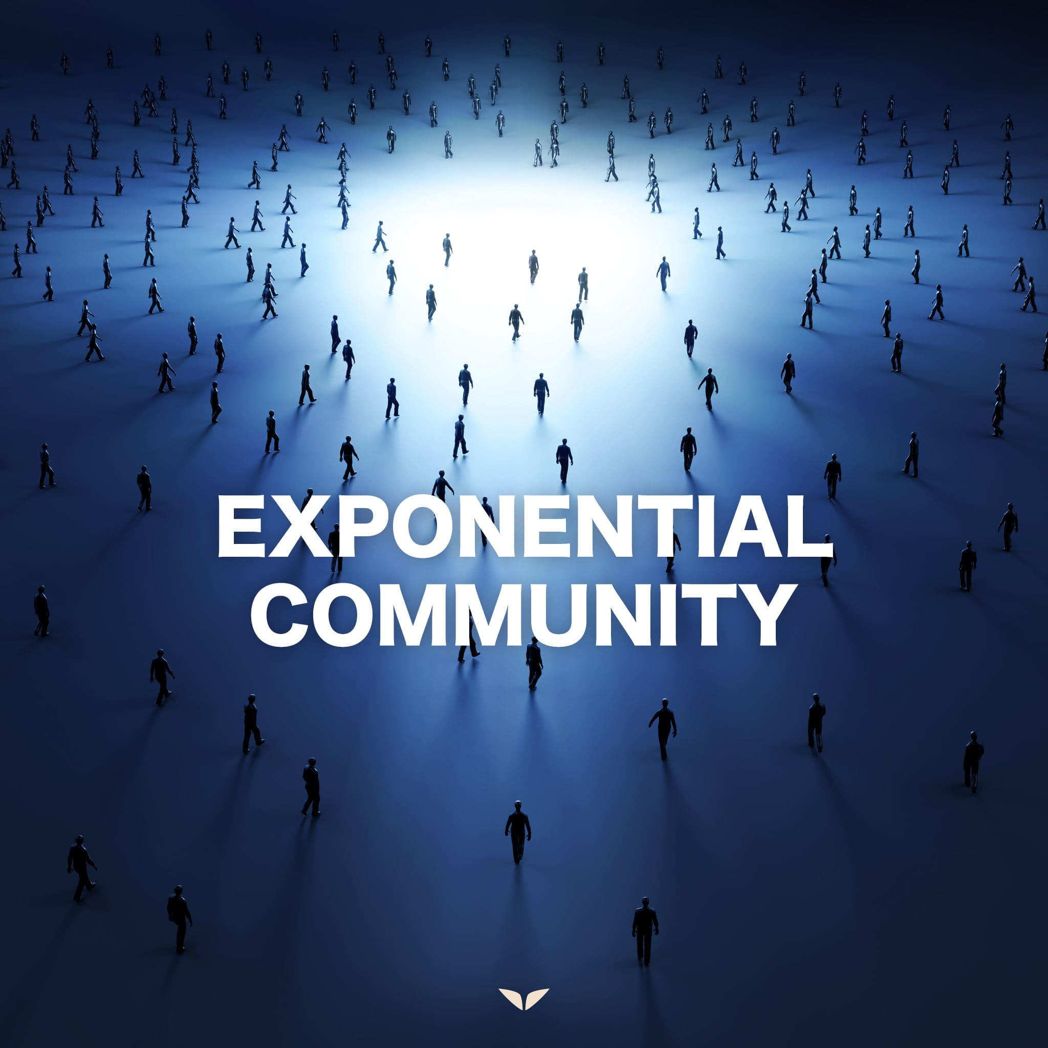 Being an Exponential Coach a group of people in a circle