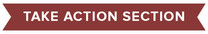 chapter5_take_action-min chapter 5 take action