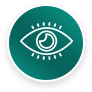 vision_icon-min 10 coaching styles
